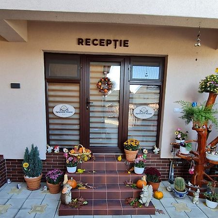 Splendid House Otel Făgăraş Dış mekan fotoğraf