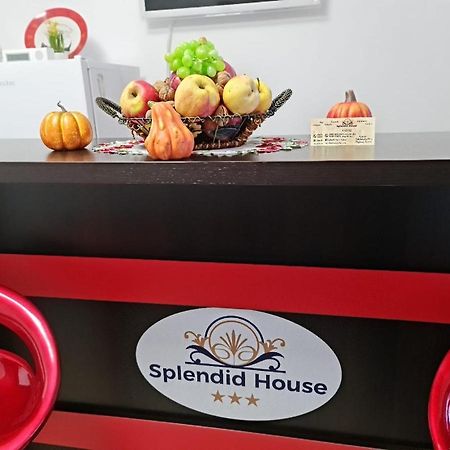 Splendid House Otel Făgăraş Dış mekan fotoğraf