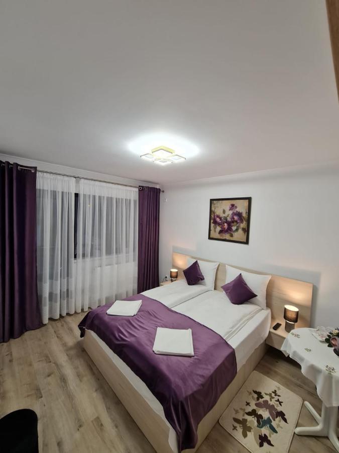 Splendid House Otel Făgăraş Dış mekan fotoğraf