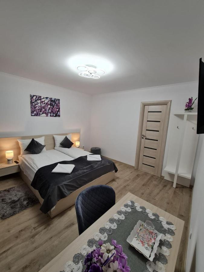 Splendid House Otel Făgăraş Dış mekan fotoğraf