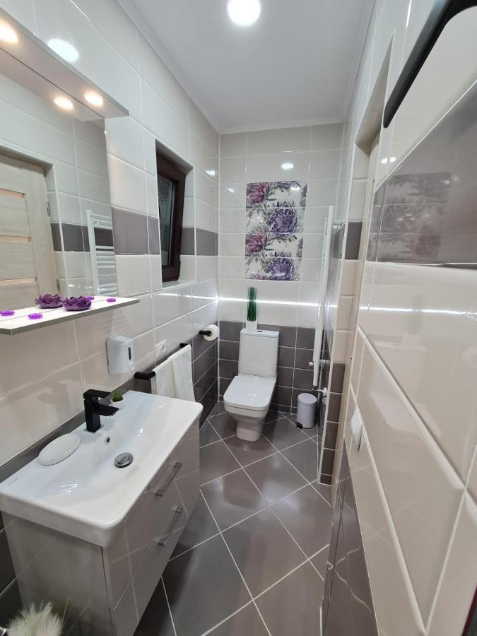 Splendid House Otel Făgăraş Dış mekan fotoğraf