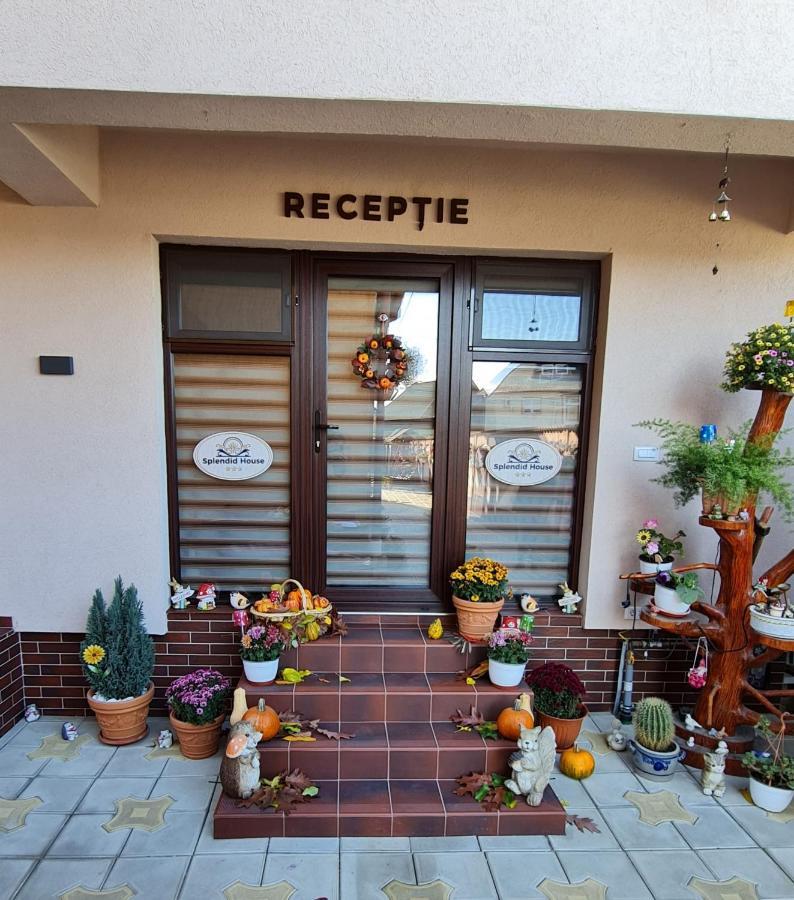 Splendid House Otel Făgăraş Dış mekan fotoğraf