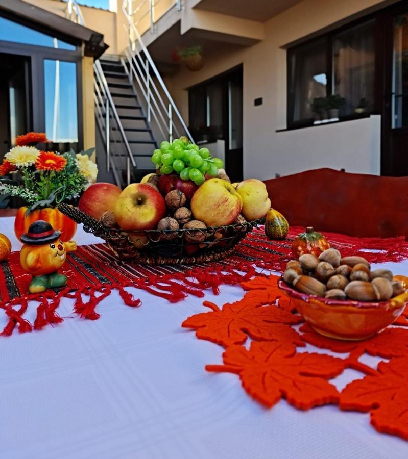 Splendid House Otel Făgăraş Dış mekan fotoğraf